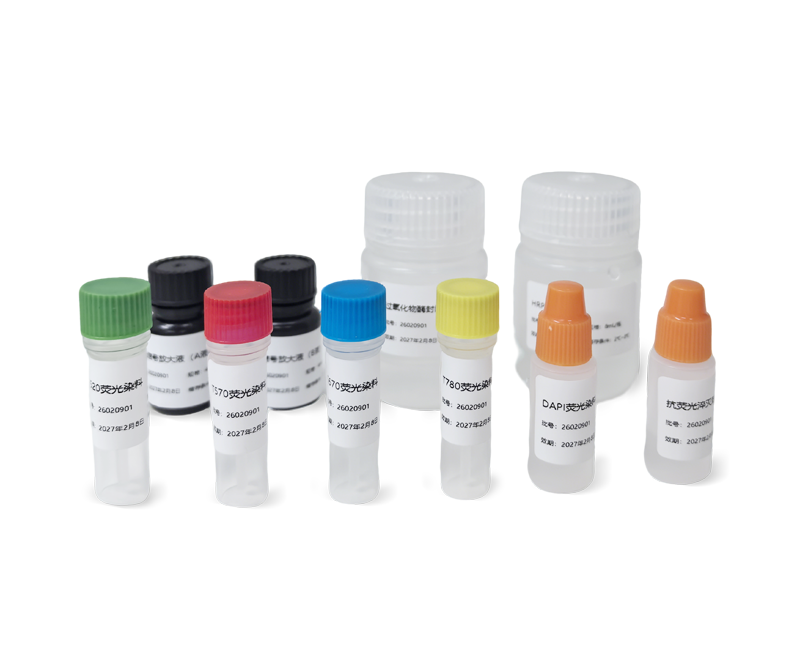 多重免疫荧光染色试剂(TSA)