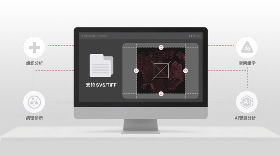多样式图像数据输出
赋能数字病理与智能分析