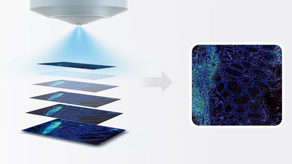 Z轴3D层析景深融合，
突破平面局限