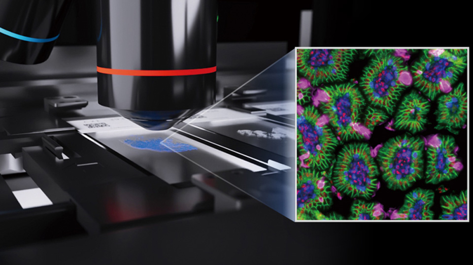 智能对焦与动态校准，
确保高质量成像