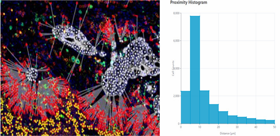 空间邻里&最近关系分析