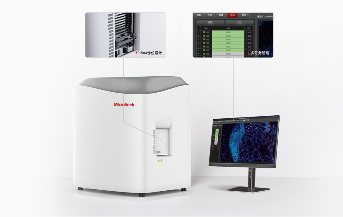 一键自动扫描 加速实验进程