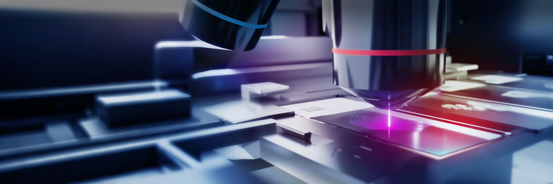 肿瘤组织三级淋巴结构 (TLS) 检测 (多重免疫荧光)