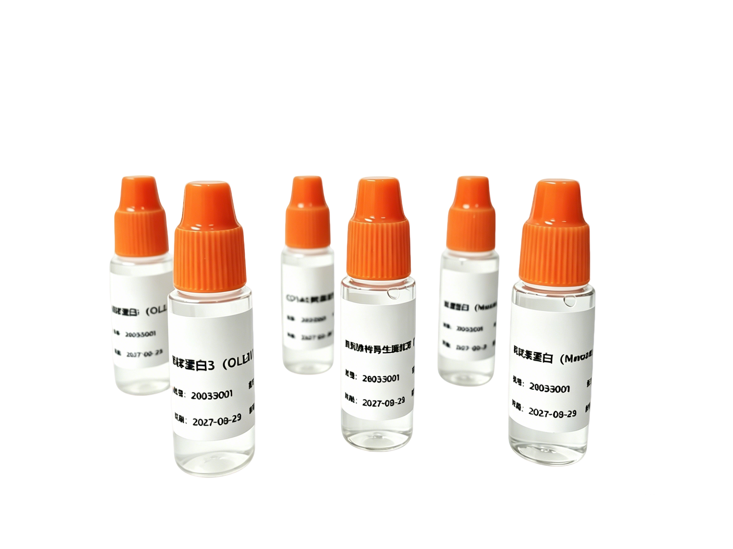 ADC药物靶点检测抗体试剂